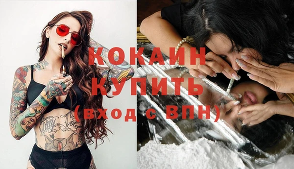 трава Абаза